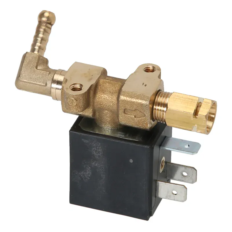 Saeco/Philips dvoucestný solenoidventil